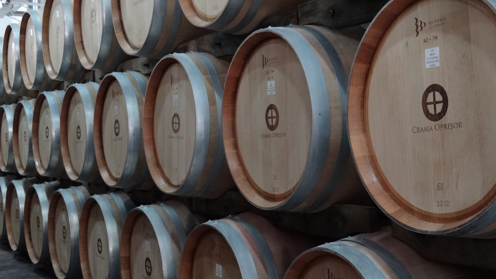 Weingut Oprisor - Barrels 1