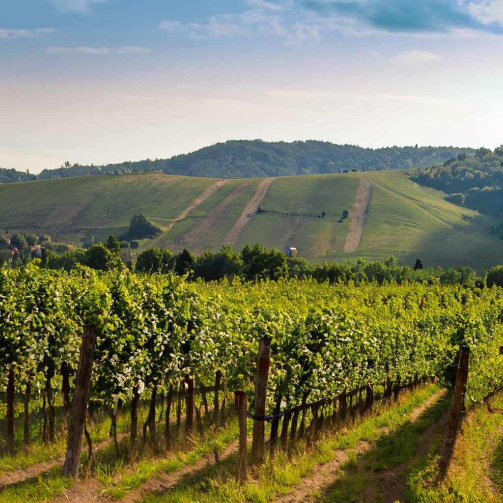 Selene Cabernet Sauvignon 2018 - Winery Cramele Recas